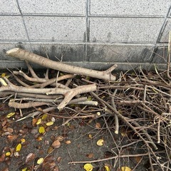 『無料』焚き火、キャンプに枝木をどうぞの画像