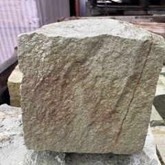 緑のピンコロの画像