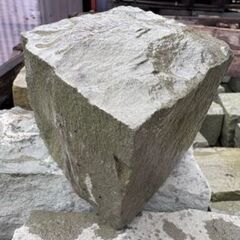 緑のピンコロの画像