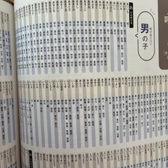 ベビー本　出産ガイド　LDKベビー用品完全ガイド、プレモ  名づけ大特集の画像