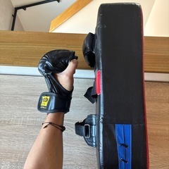 パンチミット　グローブセットの画像