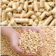 パインの木の上で パインウッド使用 ６リットル ウサギ うさぎ 小動物 爬虫類 トイレ砂 敷材 未0使用 おまけ付きの画像