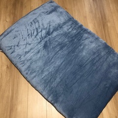 最終お値下げ😊 花柄長座布団の画像