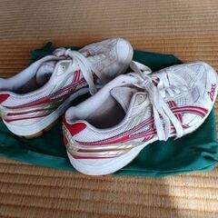 バレーボールシューズの画像