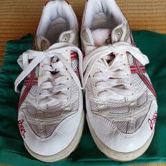 バレーボールシューズの画像