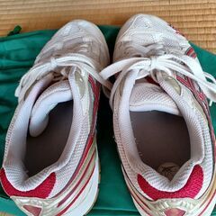 バレーボールシューズの画像