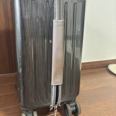 【ジャンク品】
スーツケースの画像