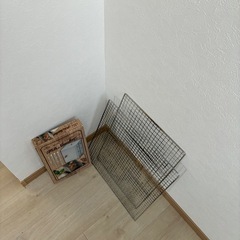 Coleman クールスパイダープロ＋焚き火／スモーカー一式まとめて／0円の画像