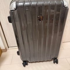 【ルコック】キャリーケース　年末まで100円引き‼️の画像