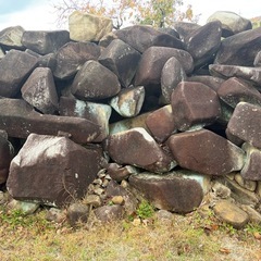 向原石、景石、くつぬぎ石、飛石の画像
