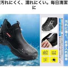 コックシューズの画像