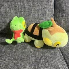 🎉ポケモンぬいぐるみセットの画像