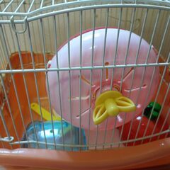 ハムスターケージ（中古）の画像