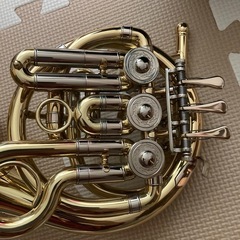 美品　ポケットホルン　の画像
