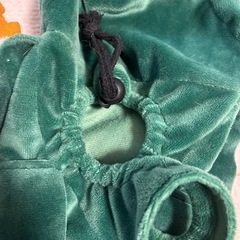 小型犬用かぶりものの画像