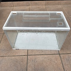 水槽の画像