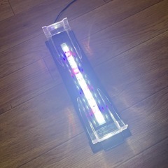 水槽用ライト　1000円の画像