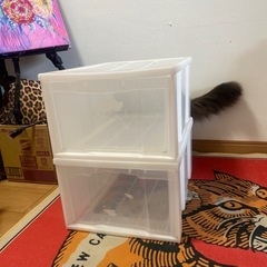 NITORI小型収納ケースの画像