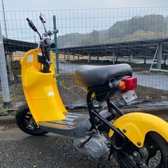 スズキ　チョイノリ　50cc　絶好調の画像
