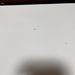 折りたたみ式ローテーブルの画像