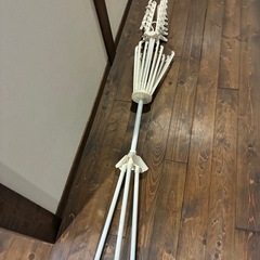 室内物干し　折りたたみの画像