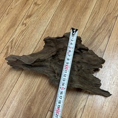 流木　300円の画像