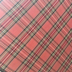 ヴィンテージ タータンチェック 布スーツケース 特大の画像