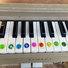 オルガン　学校の画像