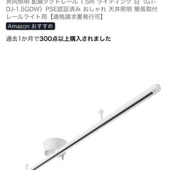 照明　ダクトレールライト　ほぼ新品　超お買得の画像