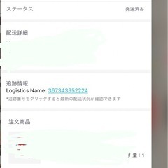 【正規購入】POP Mart　ラブブの画像