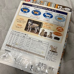 犬　レインウェアの画像