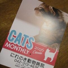動物病院でもらったネコさんカレンダー2026の画像