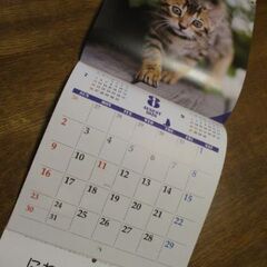 動物病院でもらったネコさんカレンダー2026の画像