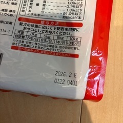 ちゅーる犬　の画像