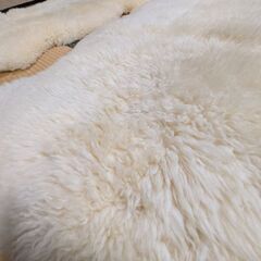 ラムスキン3枚、格安でお譲り致します。の画像