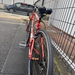  FUJI SPARROW  の画像