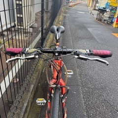  FUJI SPARROW  の画像