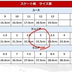 スケート靴　子供用　サイズ3（22.5cm相当）カバン付きの画像
