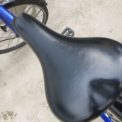 ブリヂストン SCHLEIN シュライン 24インチ シュライン用カゴ付き ジュニア向け 自転車 の画像