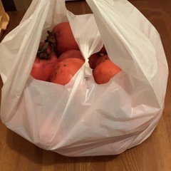 渋柿　干し柿用の柿　3個の画像