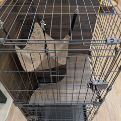 2段ペットゲージの画像