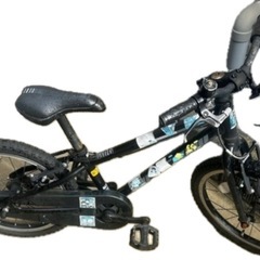 GIANT  SNAP 自転車の画像