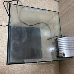 コトブキ30センチ水槽Aの画像