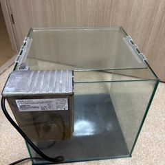 コトブキ30センチ水槽Aの画像