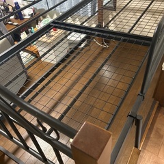 ロフトベッドミドルタイプの画像