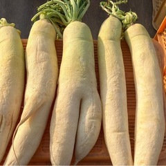 (残りわずか)無農薬❣️干し大根 大サイズの画像