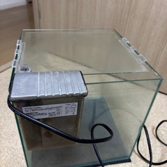 コトブキ30センチ水槽Bの画像