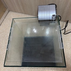 コトブキ30センチ水槽Bの画像