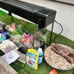 60cm水槽セットの画像