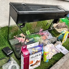 60cm水槽セットの画像